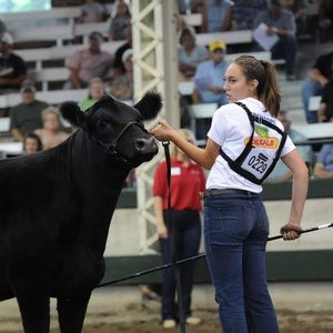 Meet your Posher, Avery